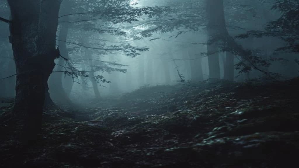 Forest