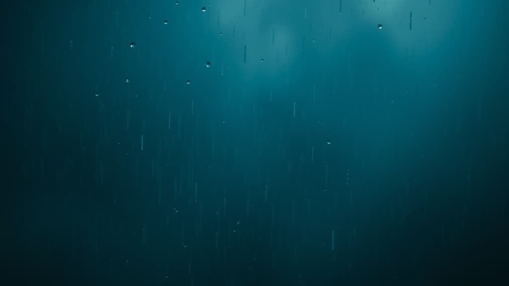 Seeing rain